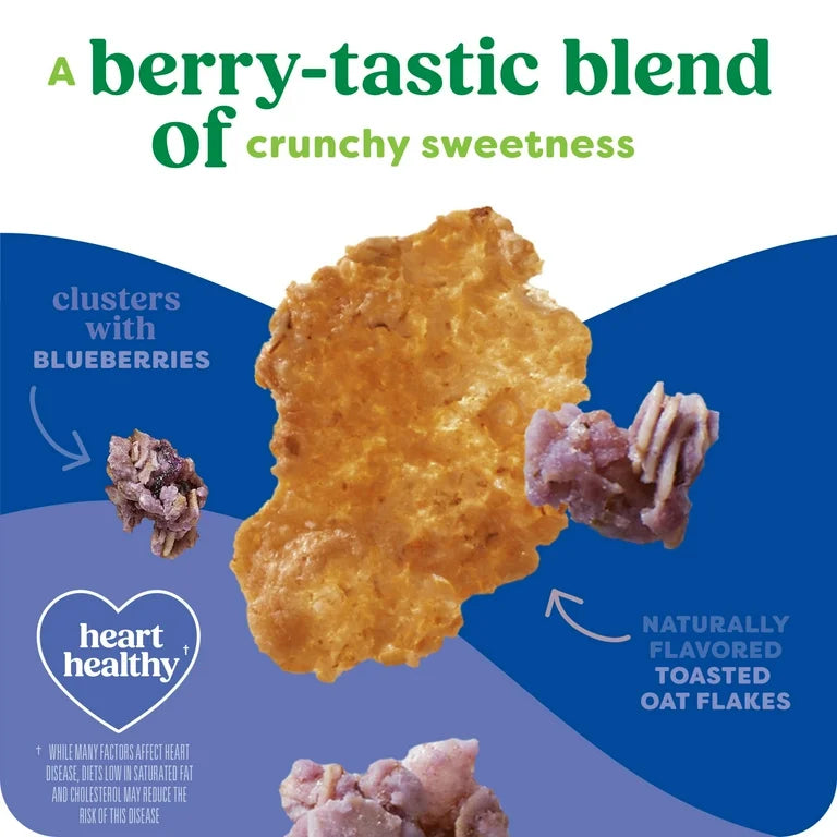 Cereal Kashi Organic Blueberry Clusters Tamaño Grande 487g