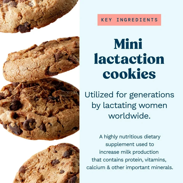 Galletas Chocolate Chip Lactation Cookies 283g