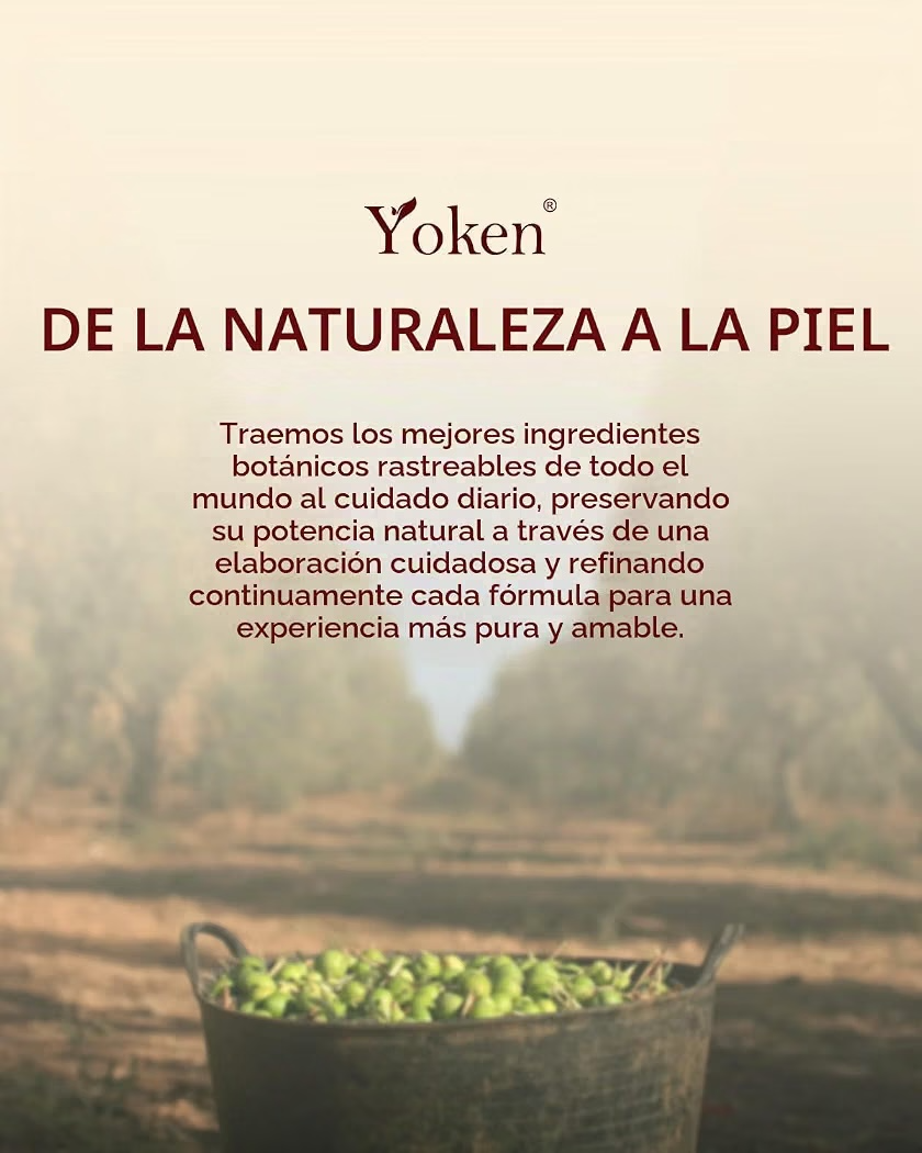 NAVIDAD: Calendario de Adviento Yoken Cuidado de la Piel x24 Días