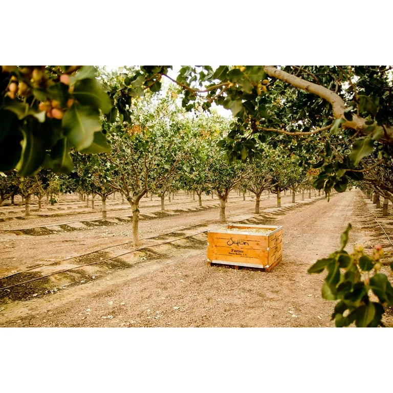 Pistachos Dry Roasted Chili & Lime Setton Farms Tamaño Grande 283g