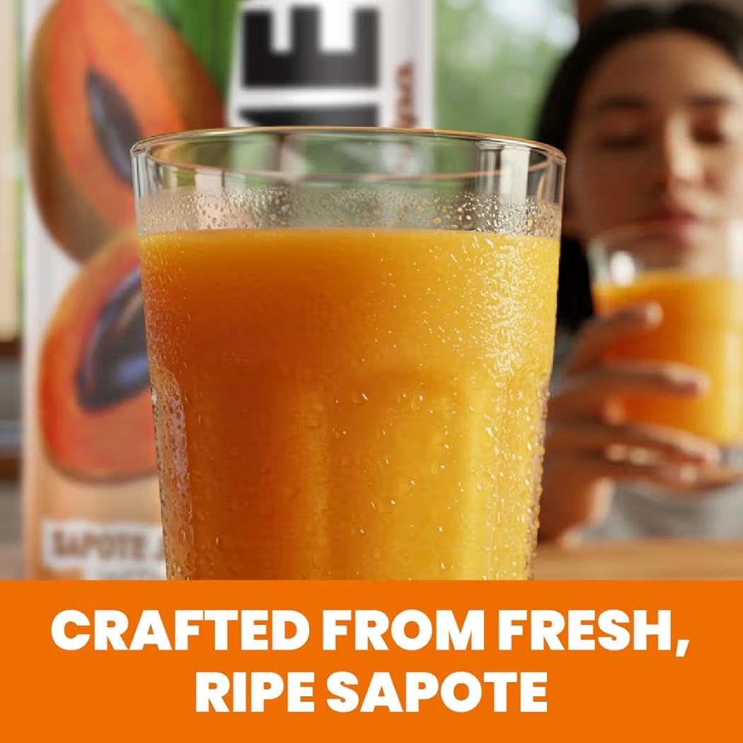 Bebida Jugo Mamey DMP Pulpa Zapote 490 mL