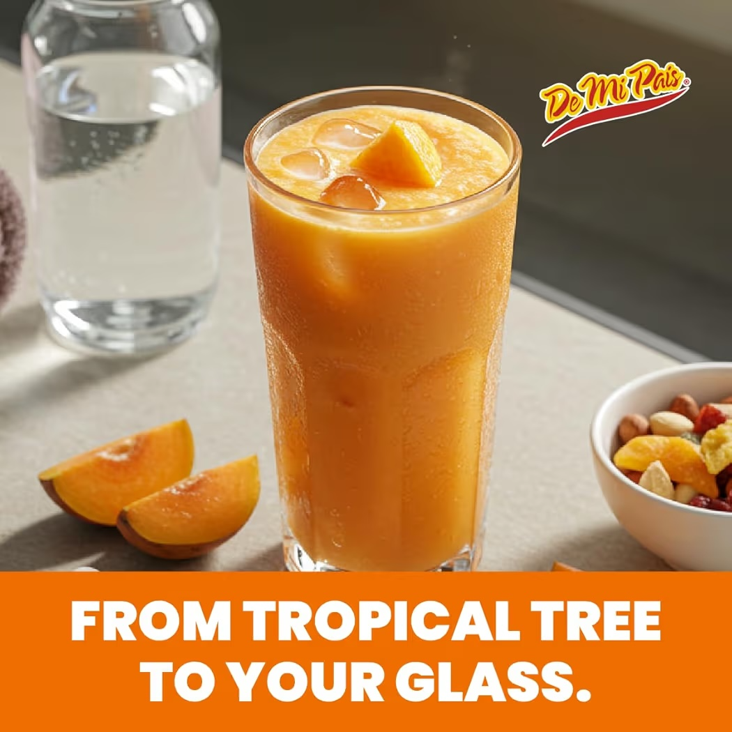 Bebida Jugo Mamey DMP Pulpa Zapote 490 mL
