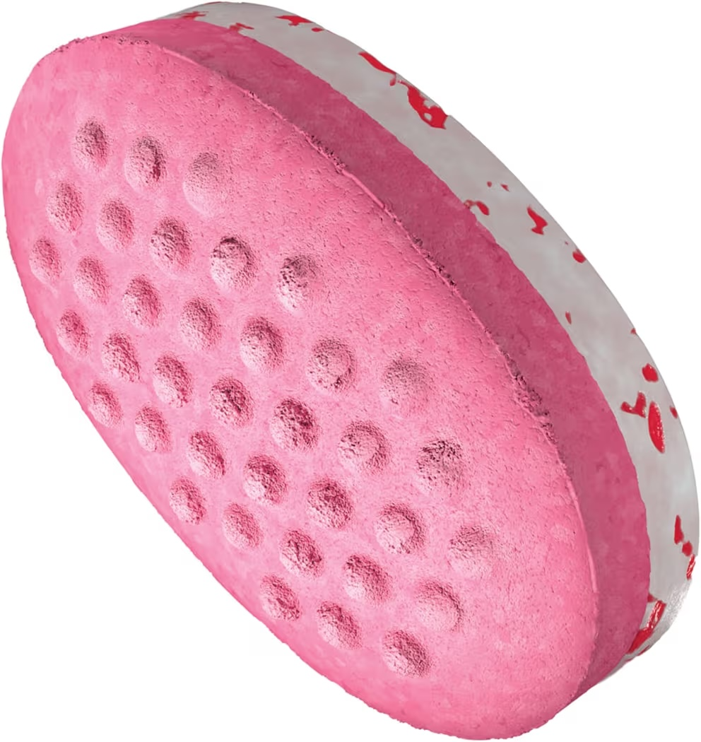Mentas Ice Breakers Duo Sin Azúcar Fruit + Cool Raspberry 36g